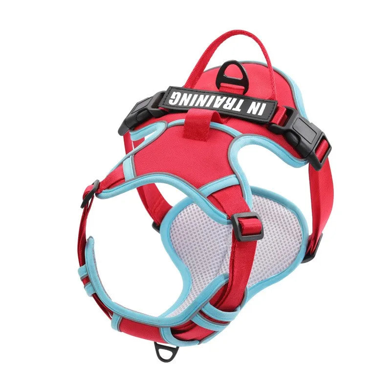Adjustable Dog Harness - Reflective Breathable Vest Harness with Leash for Small Medium Large Dogs