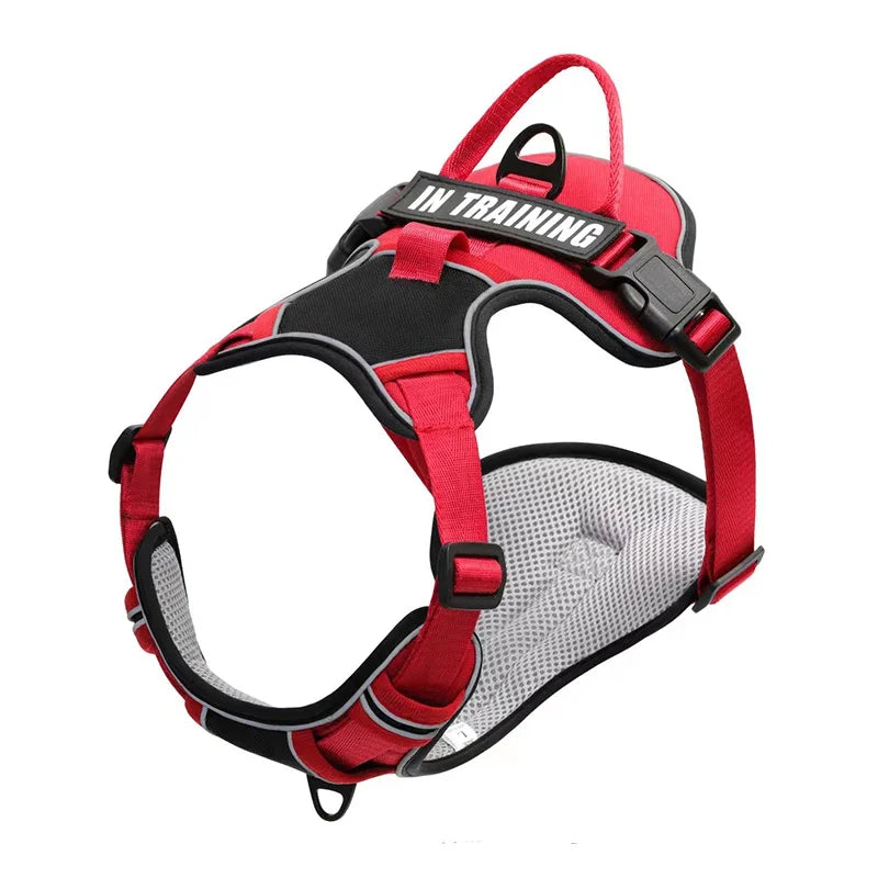 Adjustable Dog Harness - Reflective Breathable Vest Harness with Leash for Small Medium Large Dogs