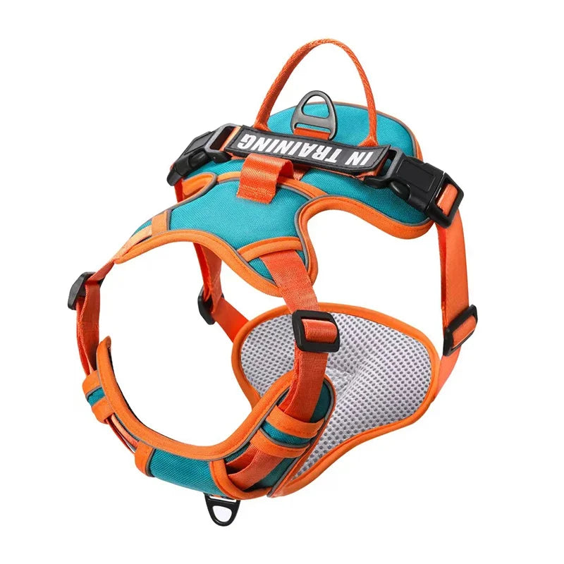 Adjustable Dog Harness - Reflective Breathable Vest Harness with Leash for Small Medium Large Dogs