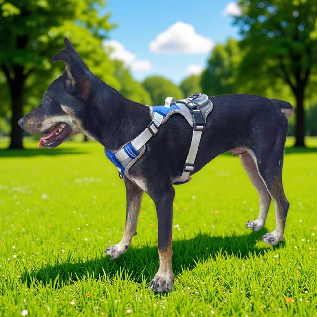 Adjustable Dog Harness - Reflective Breathable Vest Harness with Leash for Small Medium Large Dogs